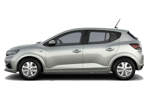 Sandero Expression ECO-G 100